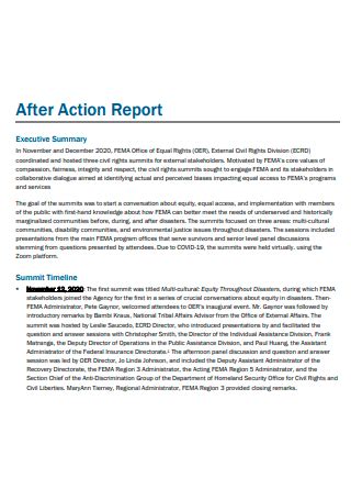 30 SAMPLE After Action Report In PDF MS Word