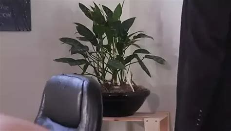 Free Naughty Secretary Porn Videos Xhamster