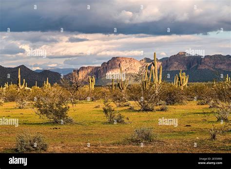 A View Of The Sonoran Desert Near Phoenix Arizona Stock Photo Alamy