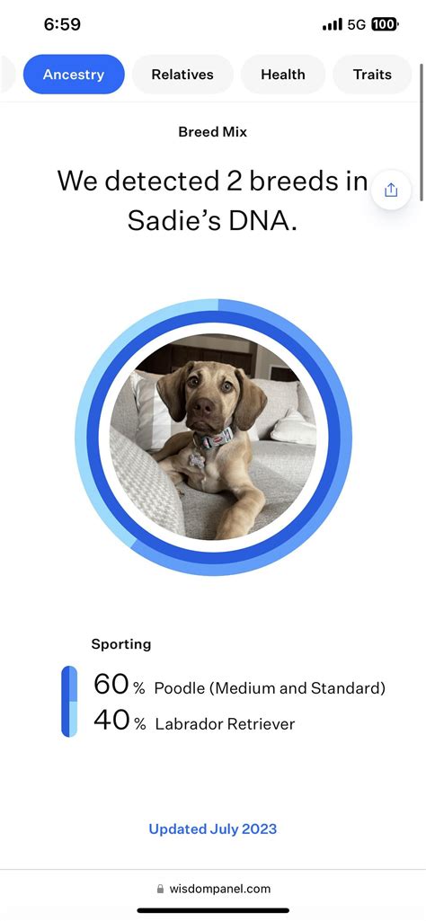 A surprise yet not a surprise : r/DoggyDNA