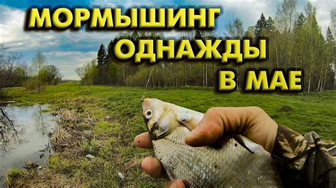 МОРМЫШИНГ/ ОДНАЖДЫ В МАЕ - YouTube