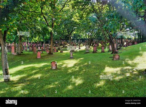 Der Alte J Dische Friedhof Der Sogenannte Judensand Von Mainz Gilt