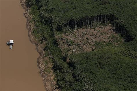 Desmatamento Zero Depende De Pacto Político E Regularização De Terras