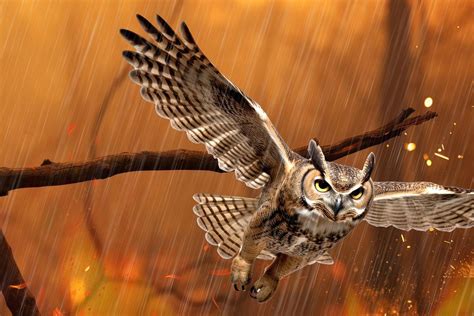 Great horned owl animal wildlife | Premium Photo - rawpixel