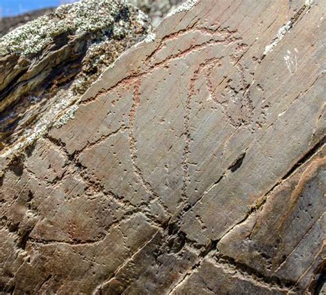 Los diez mejores yacimientos arqueológicos visitables de Castilla y