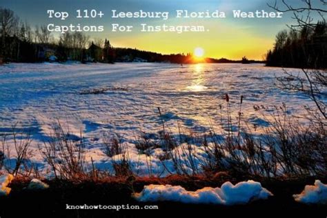 Top 110+ Leesburg Florida Weather Captions For Instagram - Knowhowtocaption