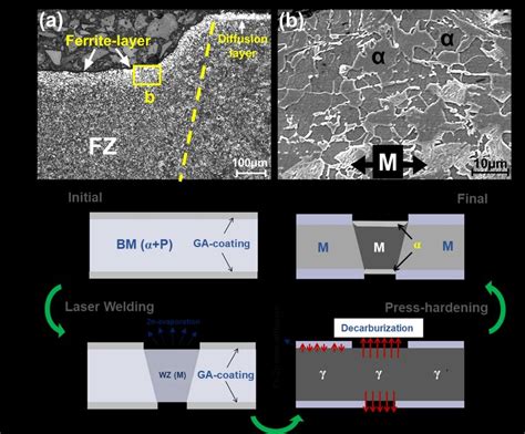 Representative A Om And B Sem Micrograph Of The Ferrite Layer