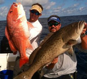 clearwater fishing charters « Clearwater Florida Fishing Report