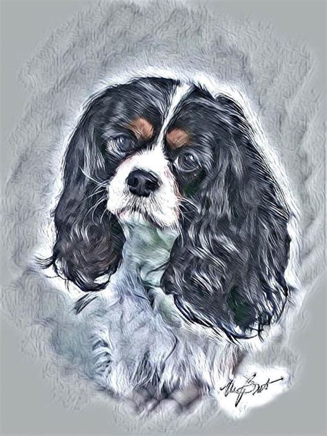 Cavalier King Charles Spaniel Drawing at PaintingValley.com | Explore ...