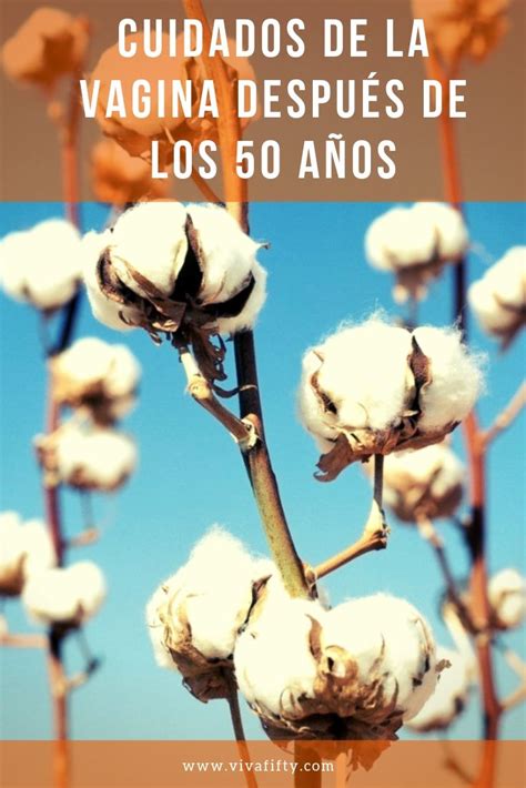 Cuidados de la vagina después de los 50 Viva Fifty Viva Fifty