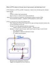 Understanding Cystic Fibrosis CFTR Mutation And Gene Therapy Course Hero