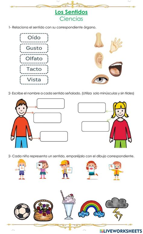 Los Sentidos Online Exercise For Primer Grado