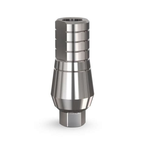 Straight Titanium Abutment Internal Hex