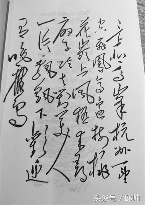 偉大領袖毛主席的詩詞書法天下一絕大家鑑賞之後留下詩詞的名稱 每日頭條