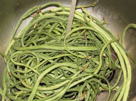 Замороженная стручковая фасоль пошаговый рецепт с фото