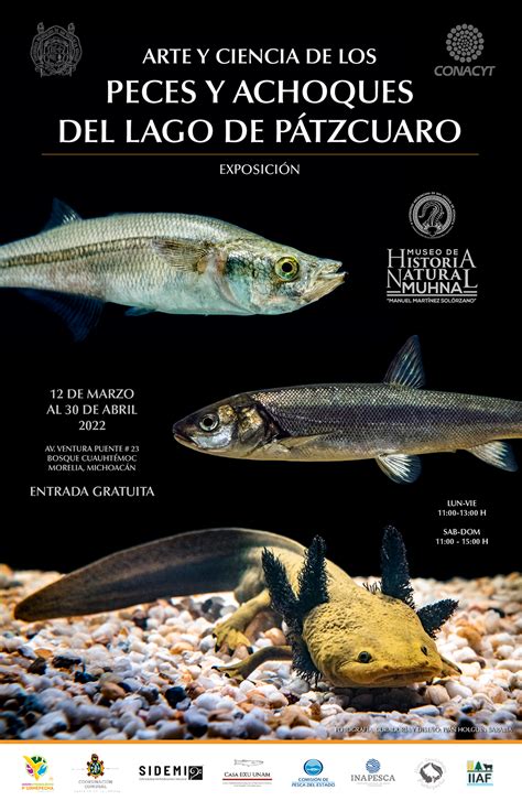 Exposición Arte y Ciencia de los Peces y Achoques del lago de Pátzcuaro