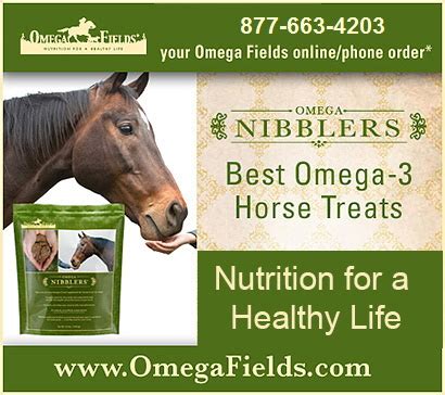 Horse Treats , Health Snacks for Horses