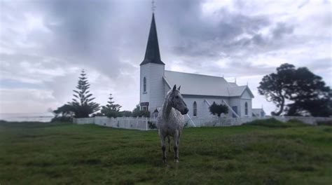 Visit Waihau Bay: 2024 Travel Guide for Waihau Bay, Bay of Plenty ...