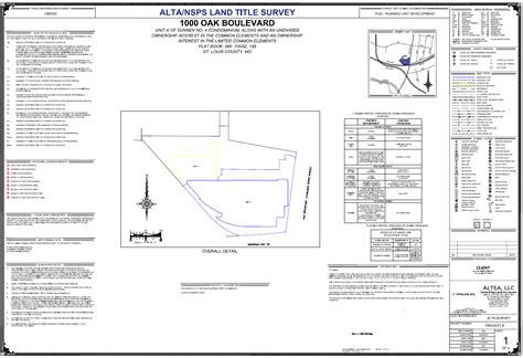 Alta Nsps Survey Altea Land Surveyors