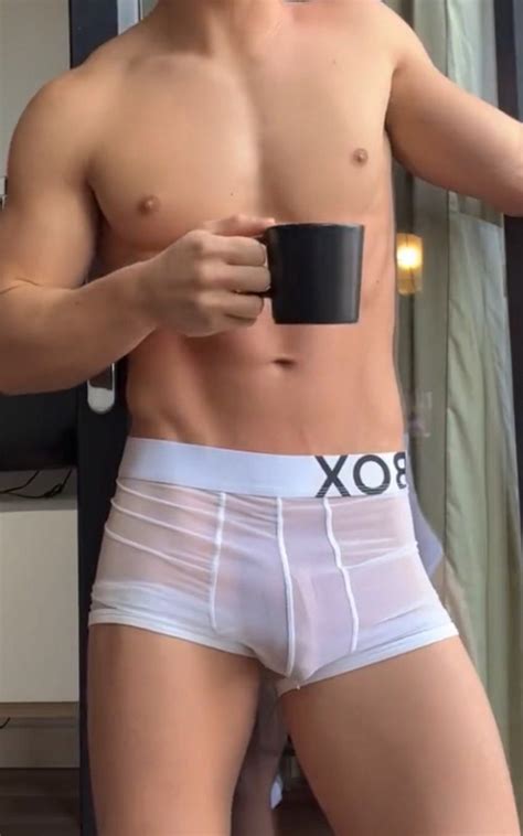 Sheer Boxers Houtex2019