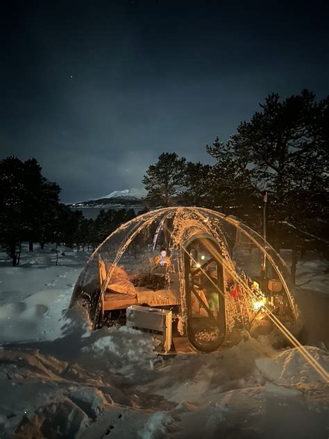 Northern lights - Norwegian Aurora glass igloo in Tromso region ...