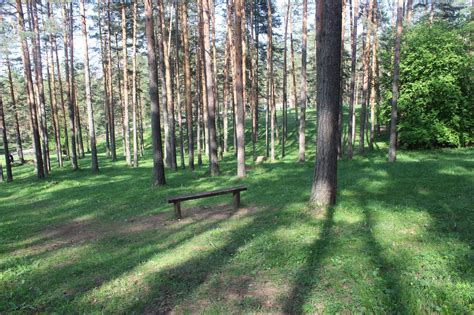 Zlatibor Serbian Nature - Free photo on Pixabay - Pixabay