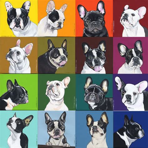 Rainbow Boston Terriers And Frenchies By Jeroen Teunen French Bulldog