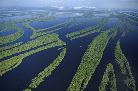 Fascinating Facts About The Amazon River Ki N Th C Cho Ng I Lao