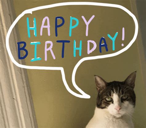 Cat Gif Birthday Wishes See more ideas about birthday wishes gif ...