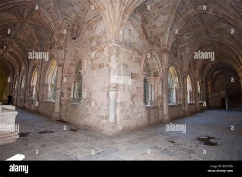 Portugal Evora Cathedral Gothic Cloister With Statue Of The