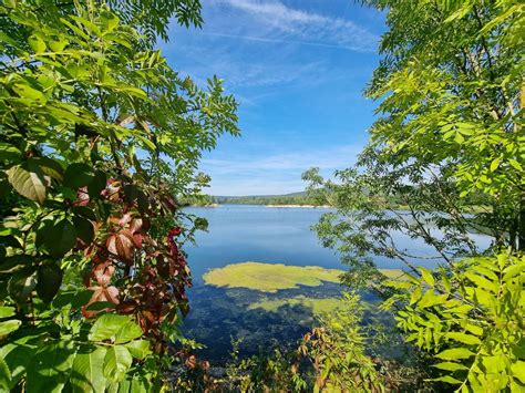 Etang Du Gallardon Vernouillet