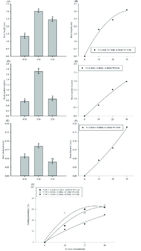 Characteristics Observed In The In Vitro Rooting Of Eucalyptus Dunnii