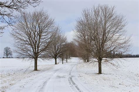 Winter In Ontario, Canada (24 Pics) | Bored Panda