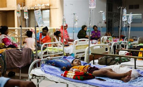 Bangladesh: Nearly 1,000 people die of dengue in severe outbreak ...