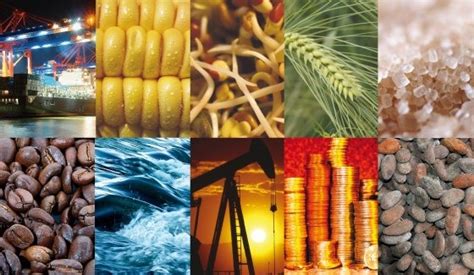 Best Agricultural Commodities To Invest In 2018