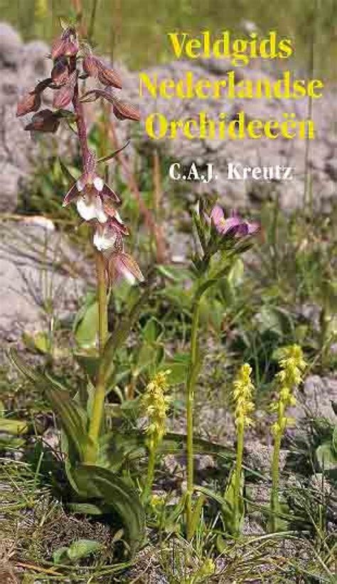 Veldgids Nederlandse Orchidee N Field Guide To Dutch Orchids Nhbs