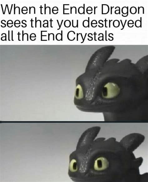 The Toothless memes are making a comeback! : r/httyd