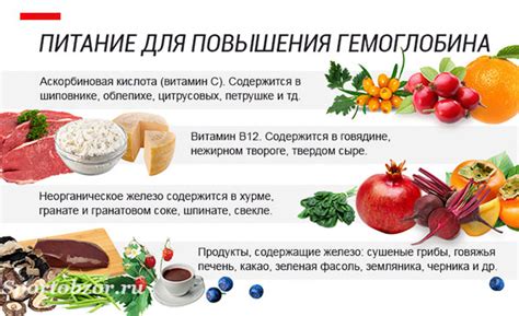Список продуктов для повышения гемоглобина - топ-продуктов