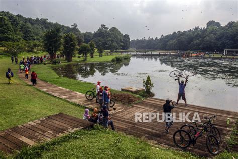 Mengintip Keindahan Danau Dora Di Kebun Raya Cibinong Republika Online