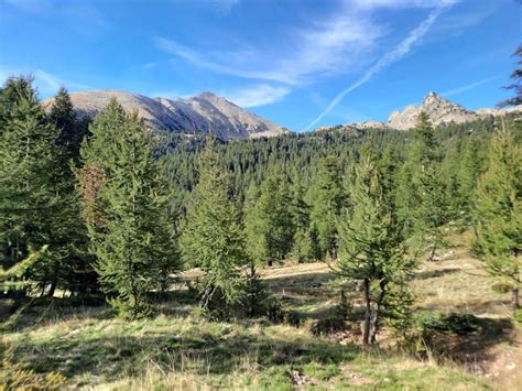 Parco Nazionale Del Mercantour L Eccellenza Della Biodiversit Traveleat