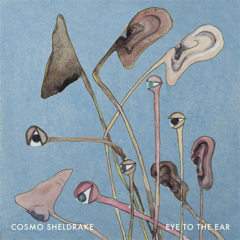 Eye To The Ear | Cosmo Sheldrake