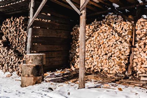 How To Store Firewood To Avoid Termites Captain Patio