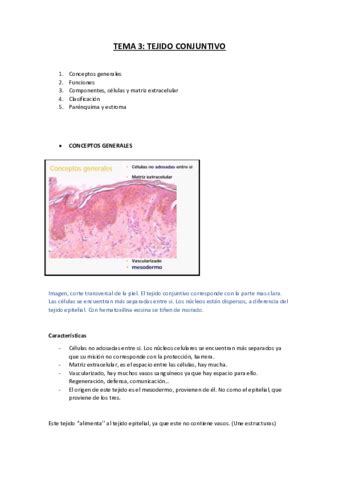 TEMA 3 Tejido Conjuntivo Pdf