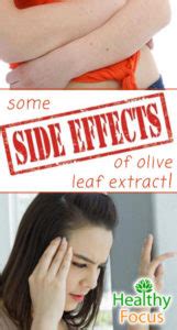 Olive Leaf Extract Benefits and Side Effects - Healthy Focus