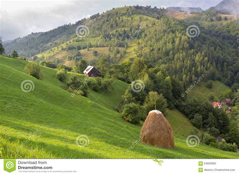 Summer Rural Landscape In The Carpathian Mountains Stock Photo Image