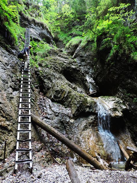 Dry White Gorge Slovak Paradise National Park Artofit