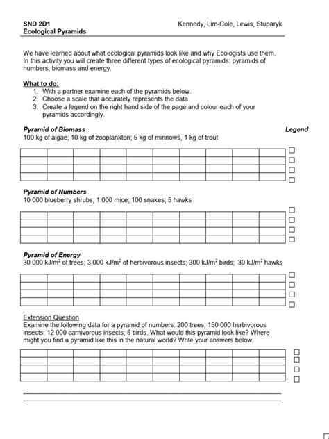 Ecological Pyramids Worksheet | PDF