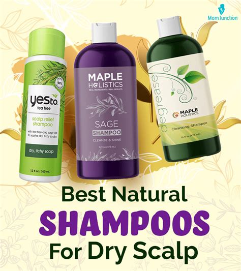 Best Natural Shampoos For Dry Scalp In