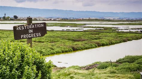 How An Atlas Of San Francisco Bay Is Helping Deal With Sea Level Rise