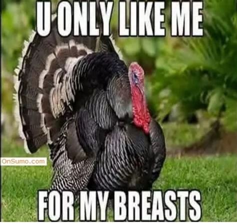 40+ Funny Happy Thanksgiving Day Memes 2023 | Happy thanksgiving funny ...